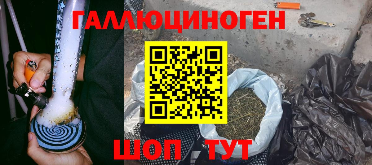 Галлюциногенные грибы MAGIC MUSHROOMS  Галлюциногенные грибы Psilocybe  Богородицк  цены   Вход с VPN 